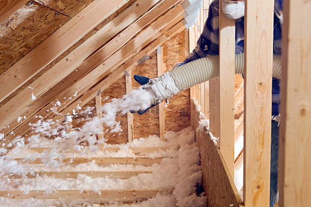 Best Insulation for Existing Homes  in Kapn, LA